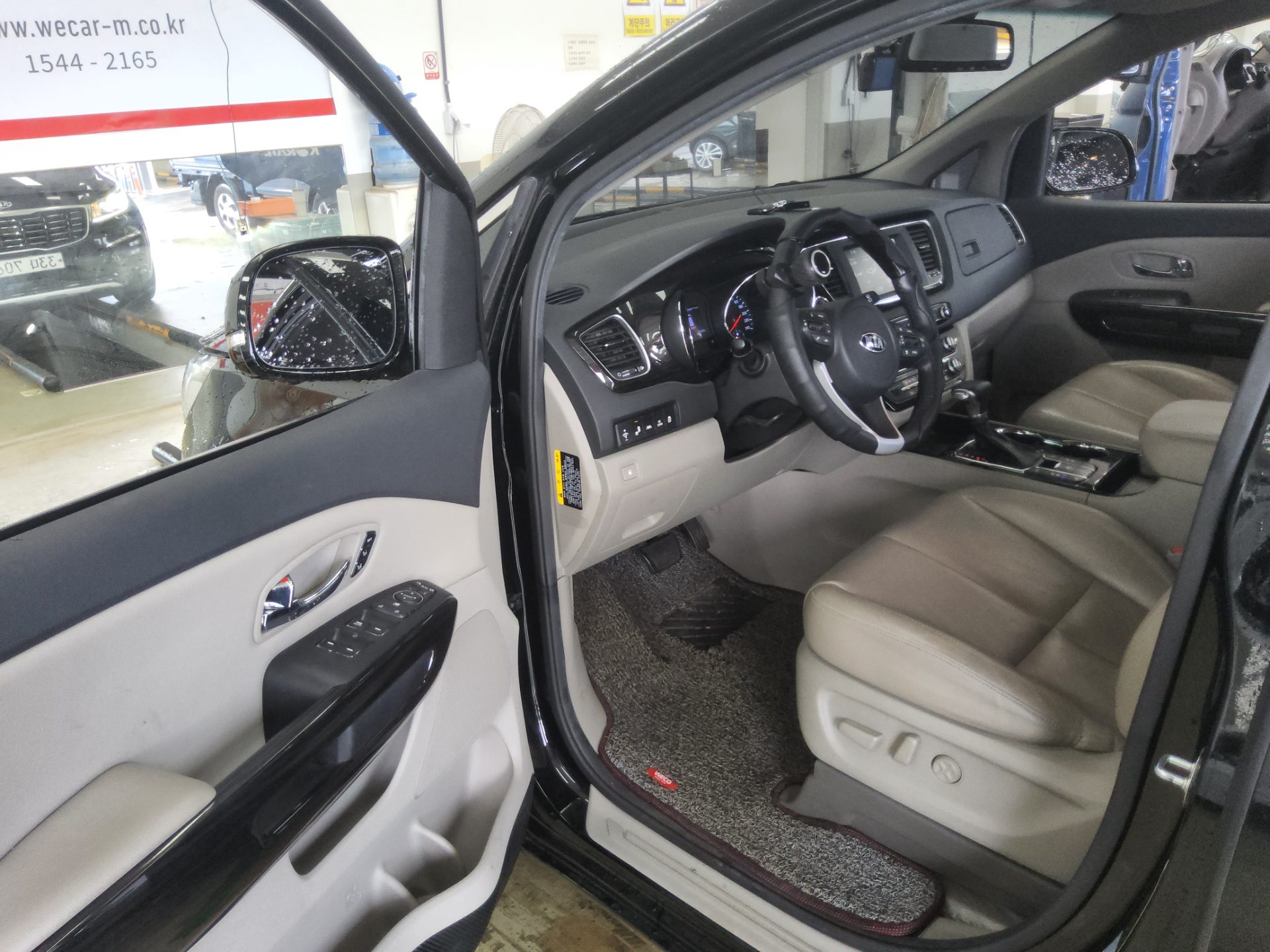 2019 - kia carnival