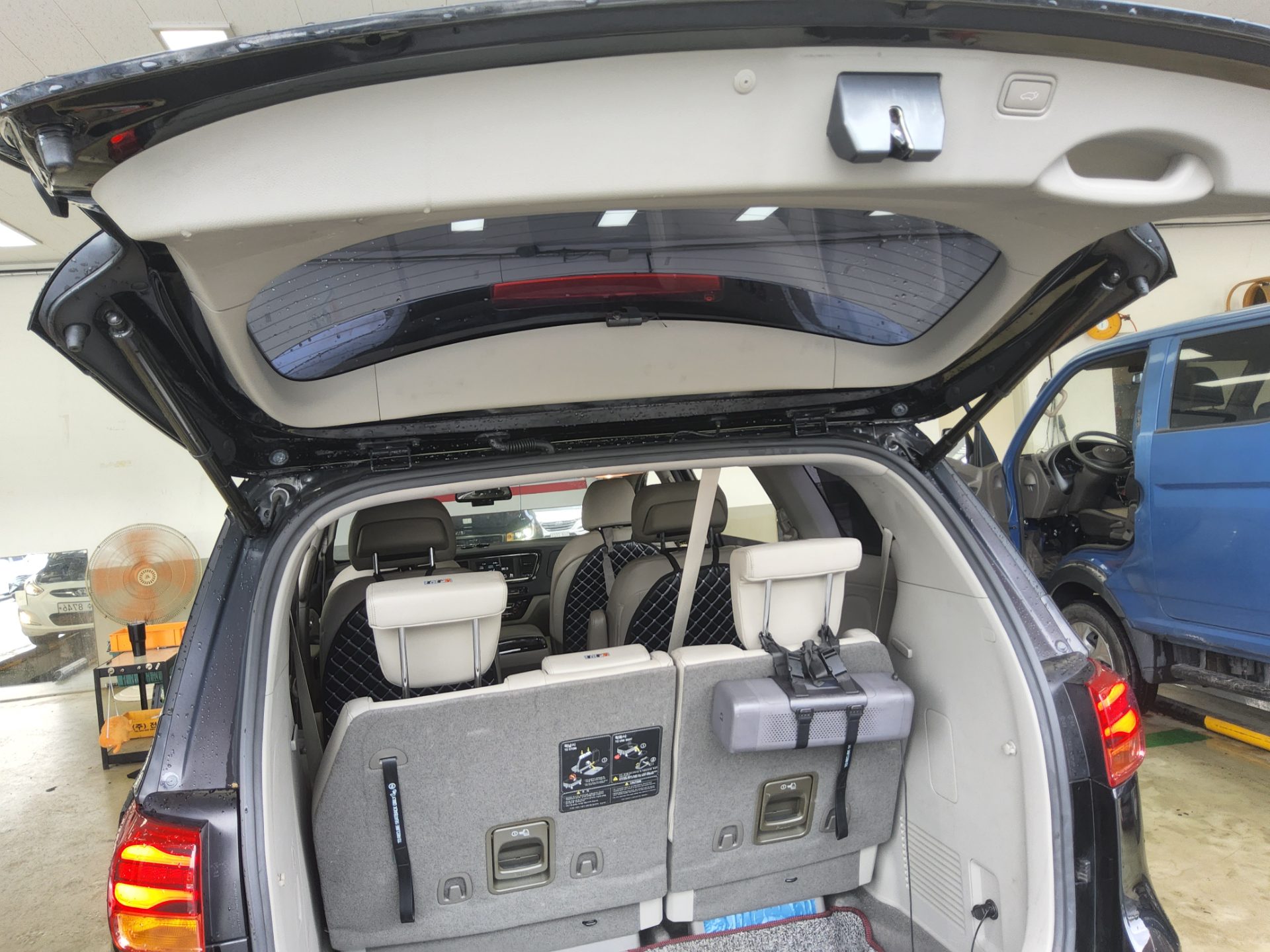 2019 - kia carnival