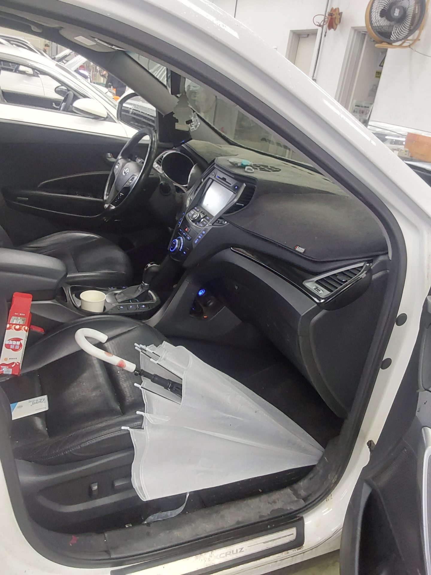 2014 - hyundai maxcruz
