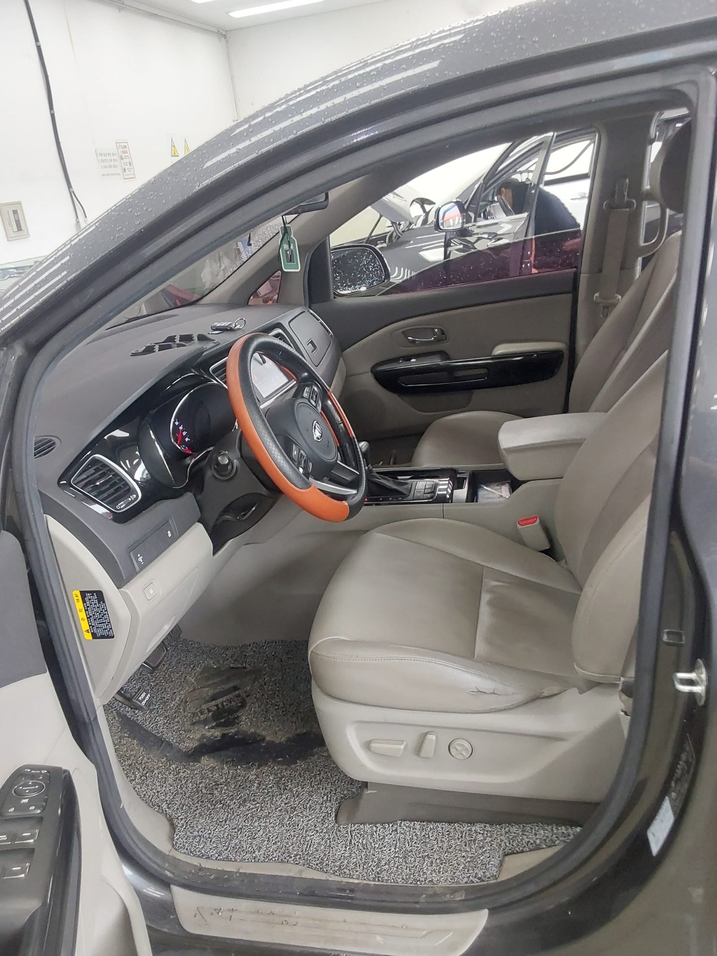 2017 - kia carnival