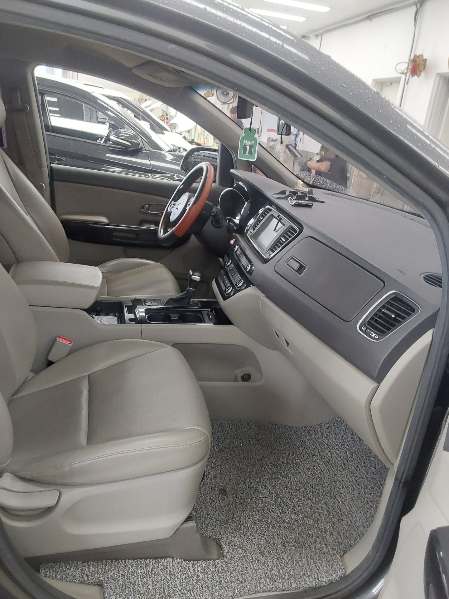 2017 - kia carnival
