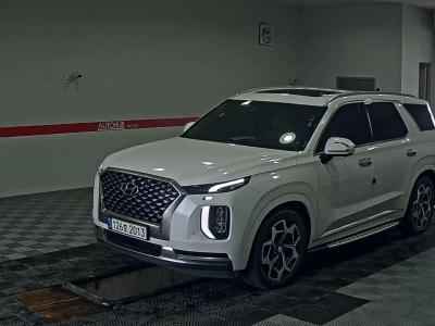 HYUNDAI PALISADE CALLIGRAPHY