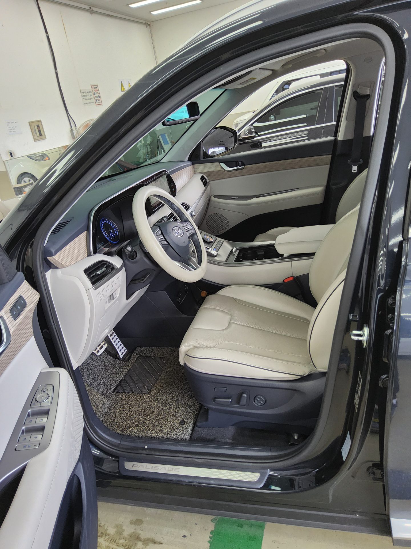2021 - hyundai palisade