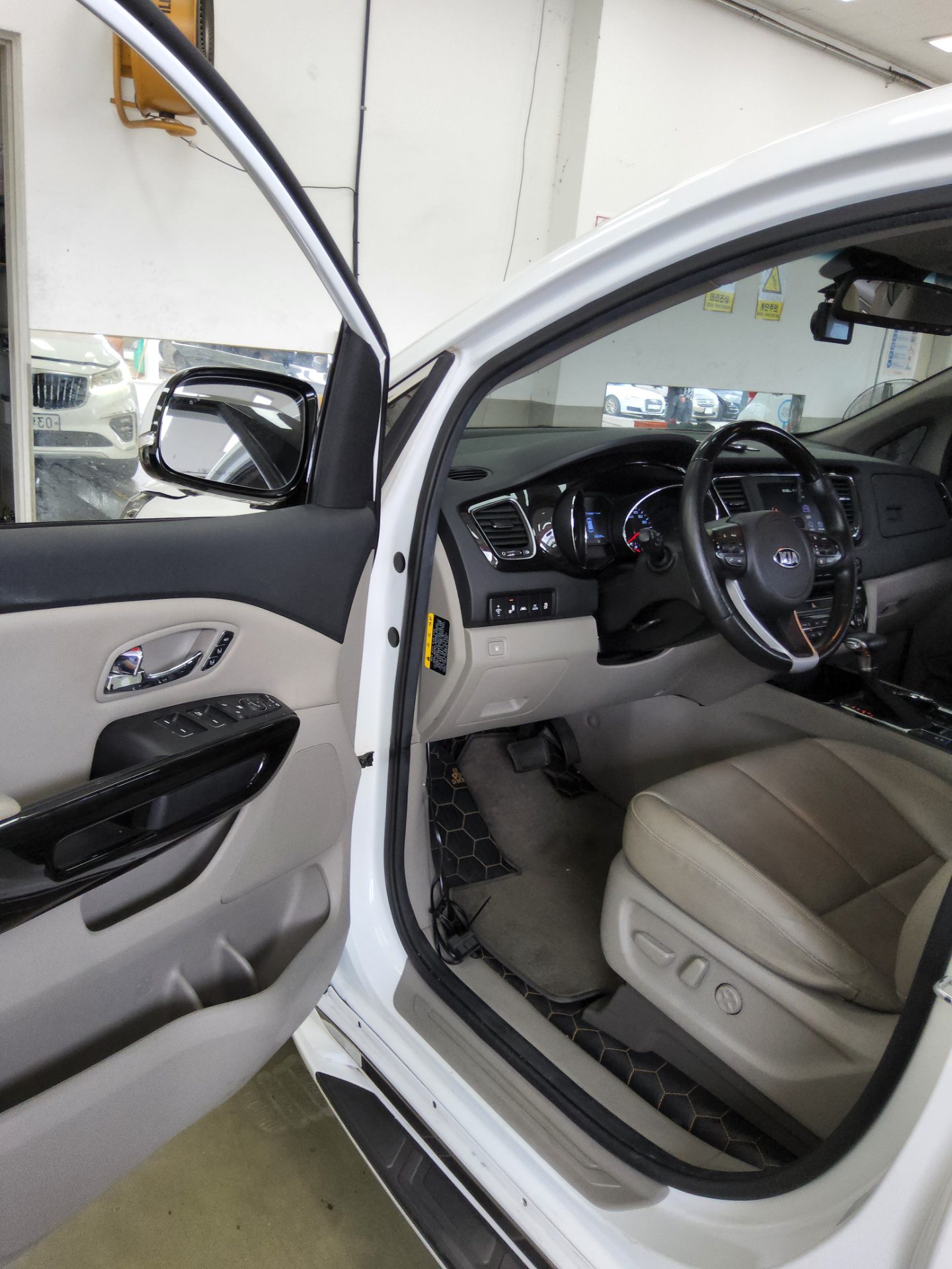 2019 - kia carnival