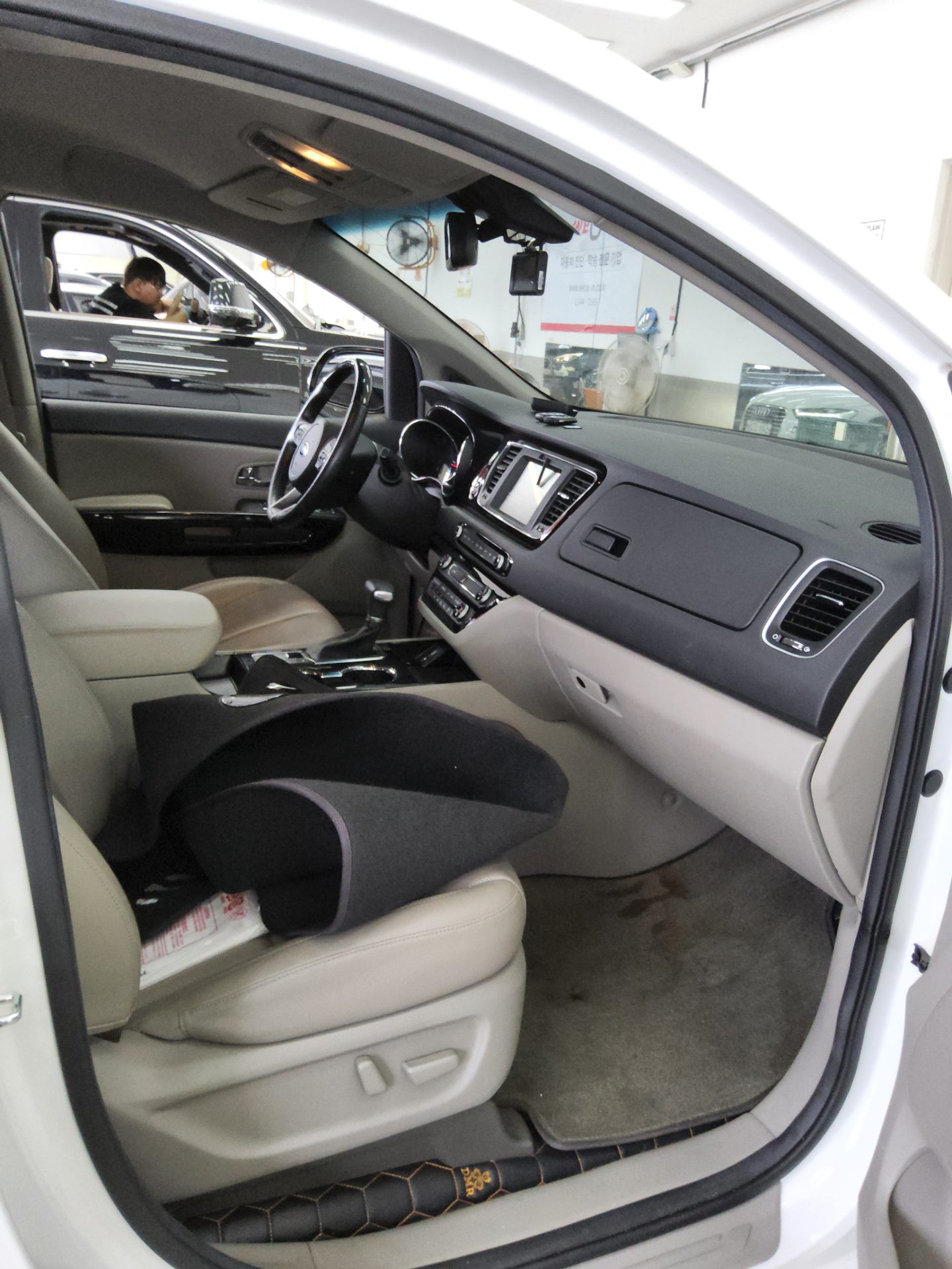 2019 - kia carnival