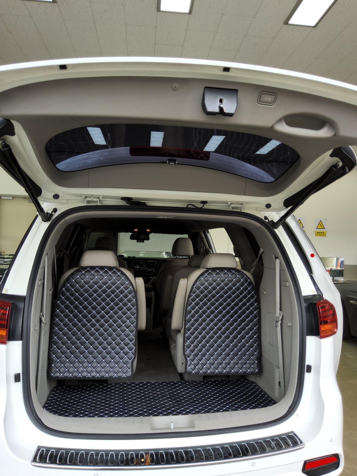 2019 - kia carnival
