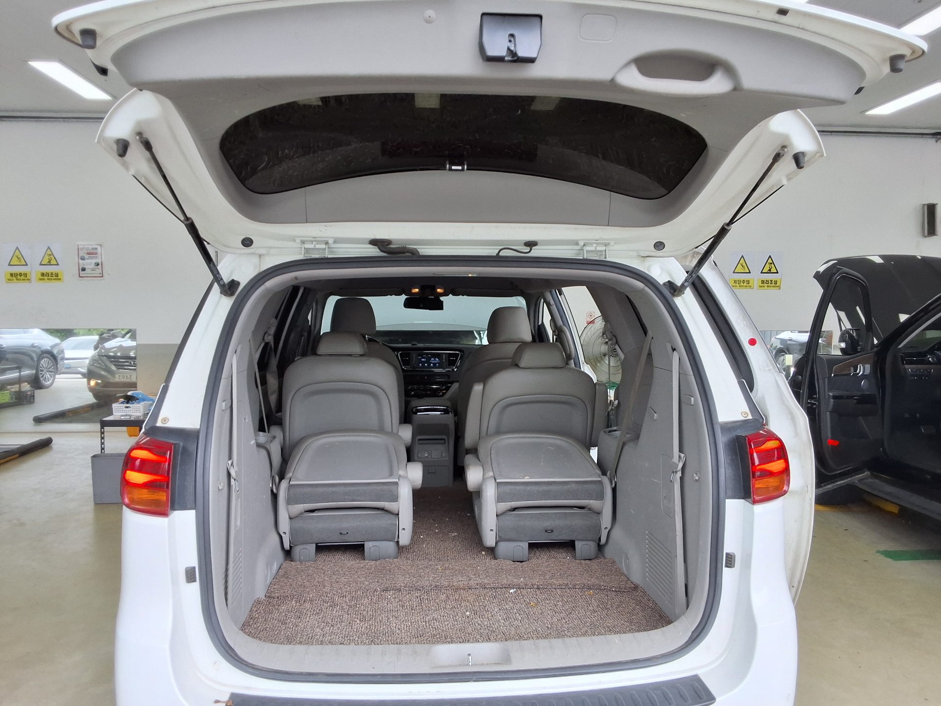 2019 - kia carnival