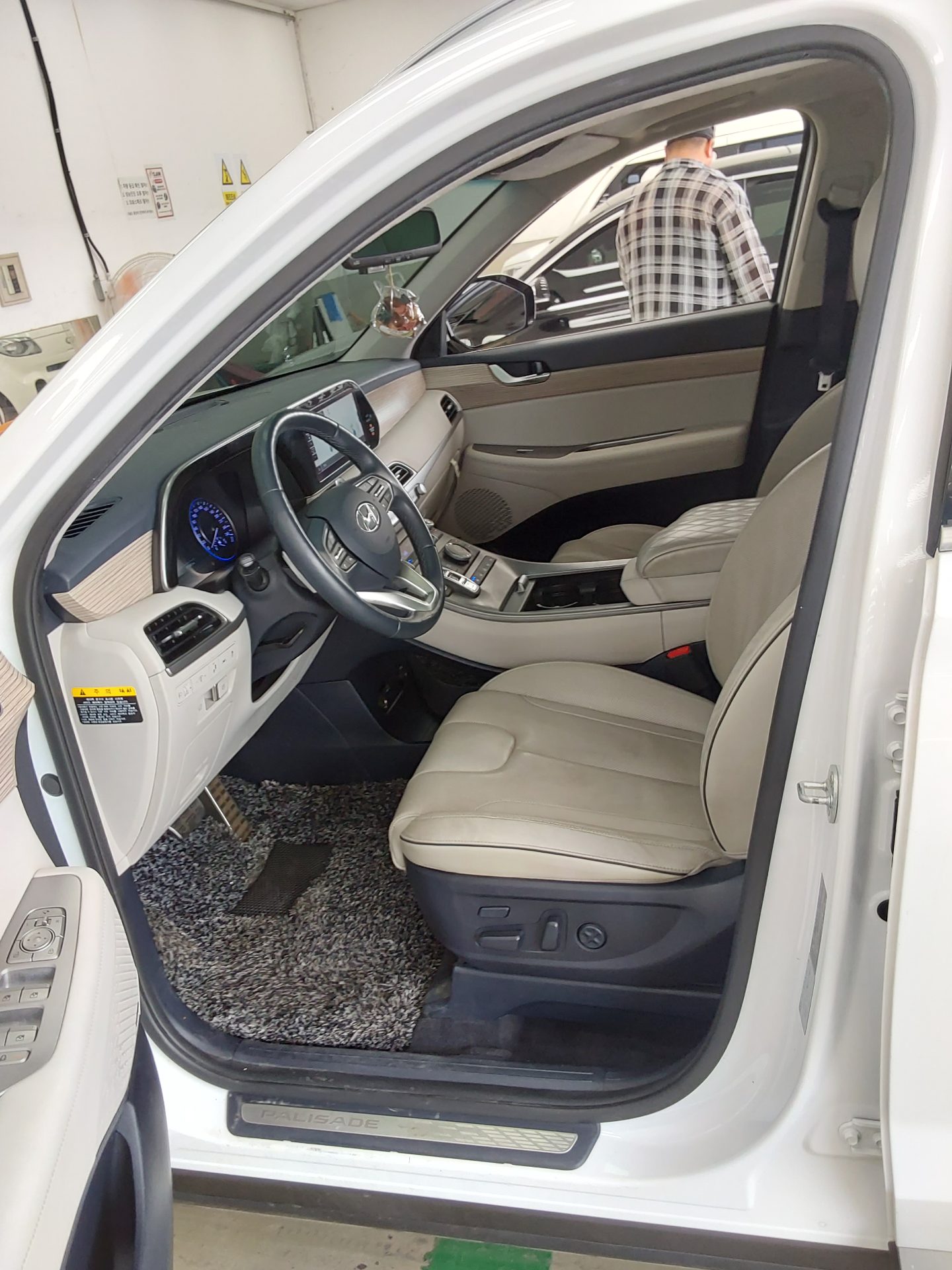 2019 - hyundai palisade