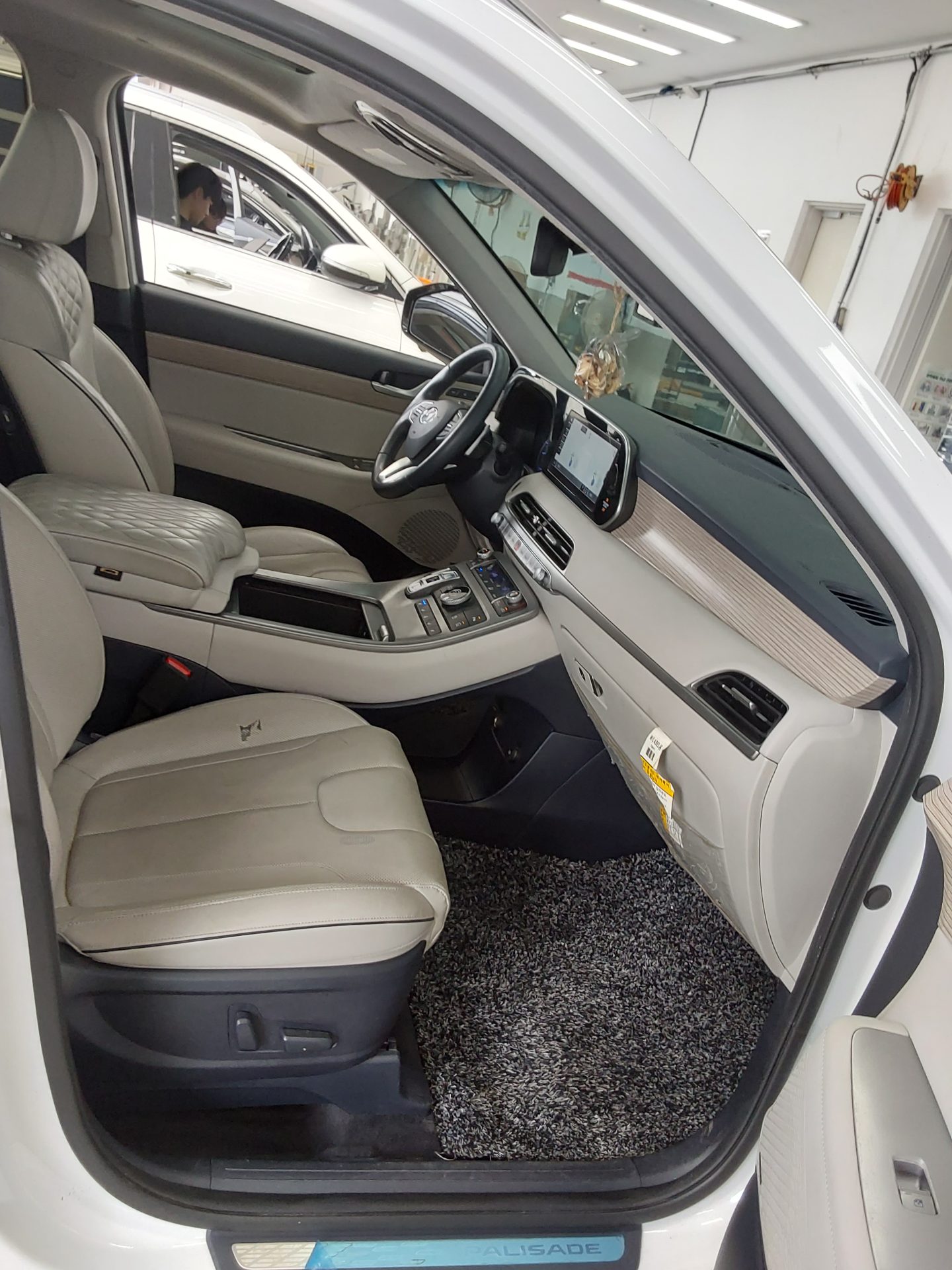 2019 - hyundai palisade