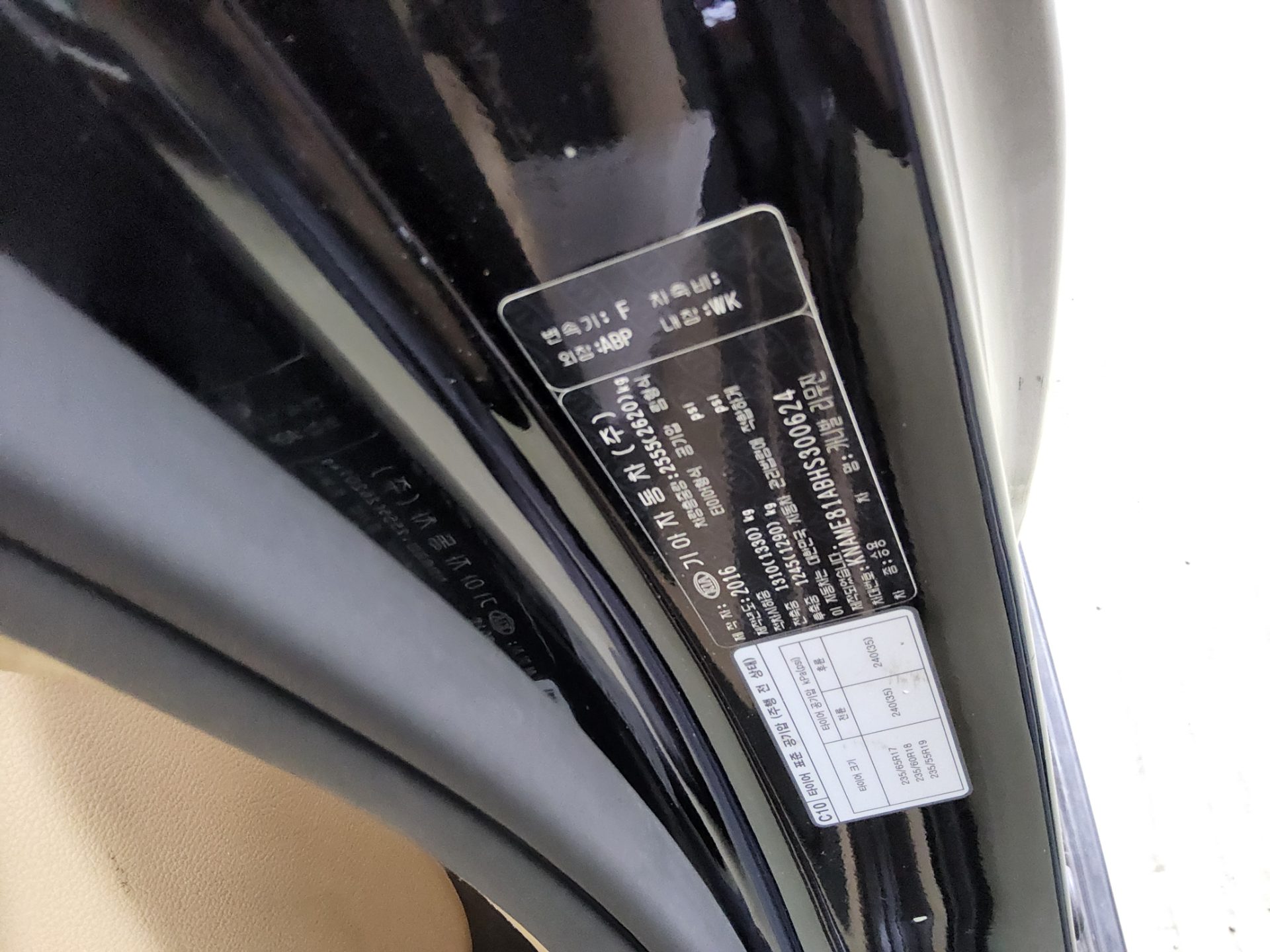 2017 - kia carnival