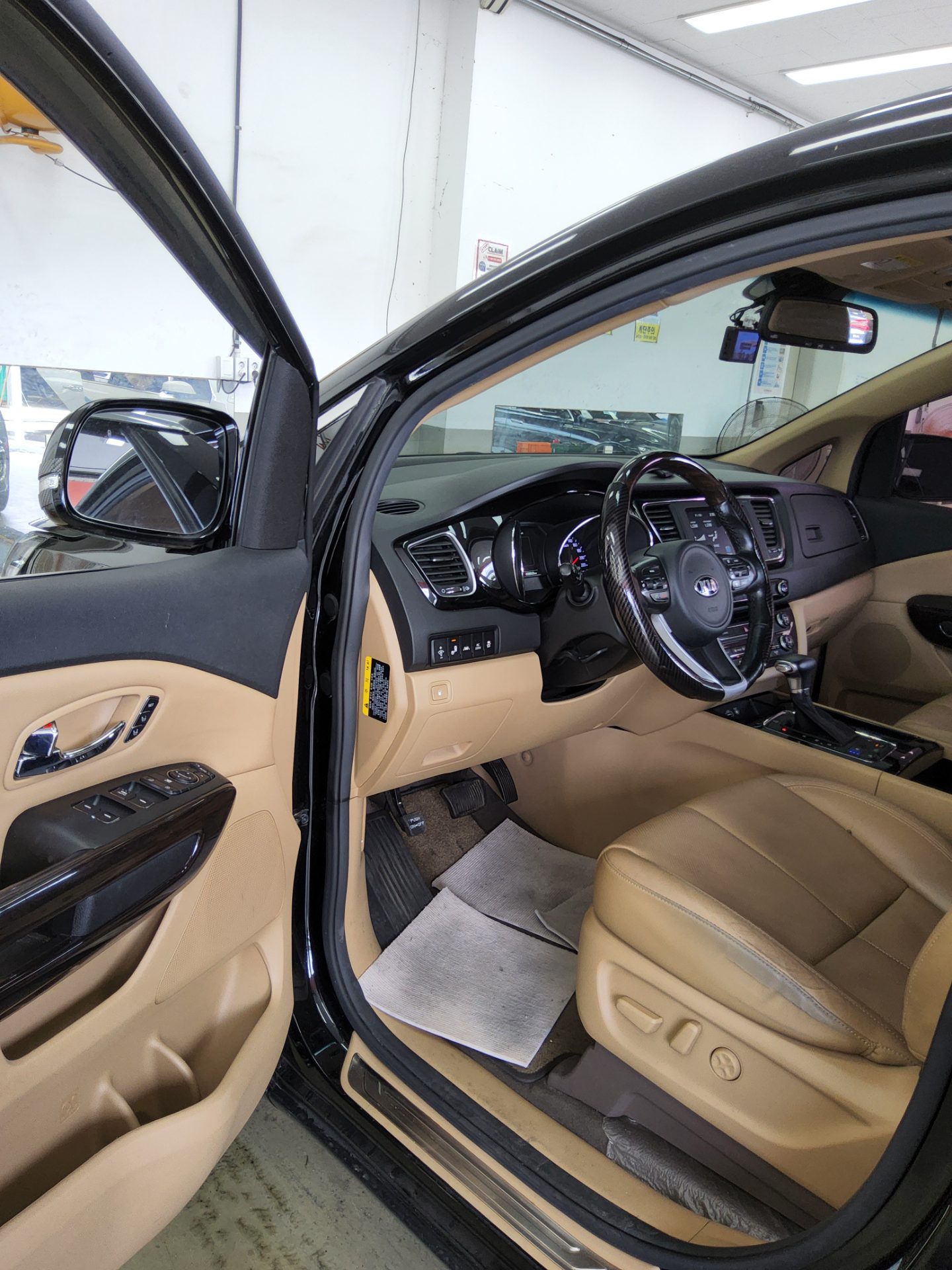 2017 - kia carnival