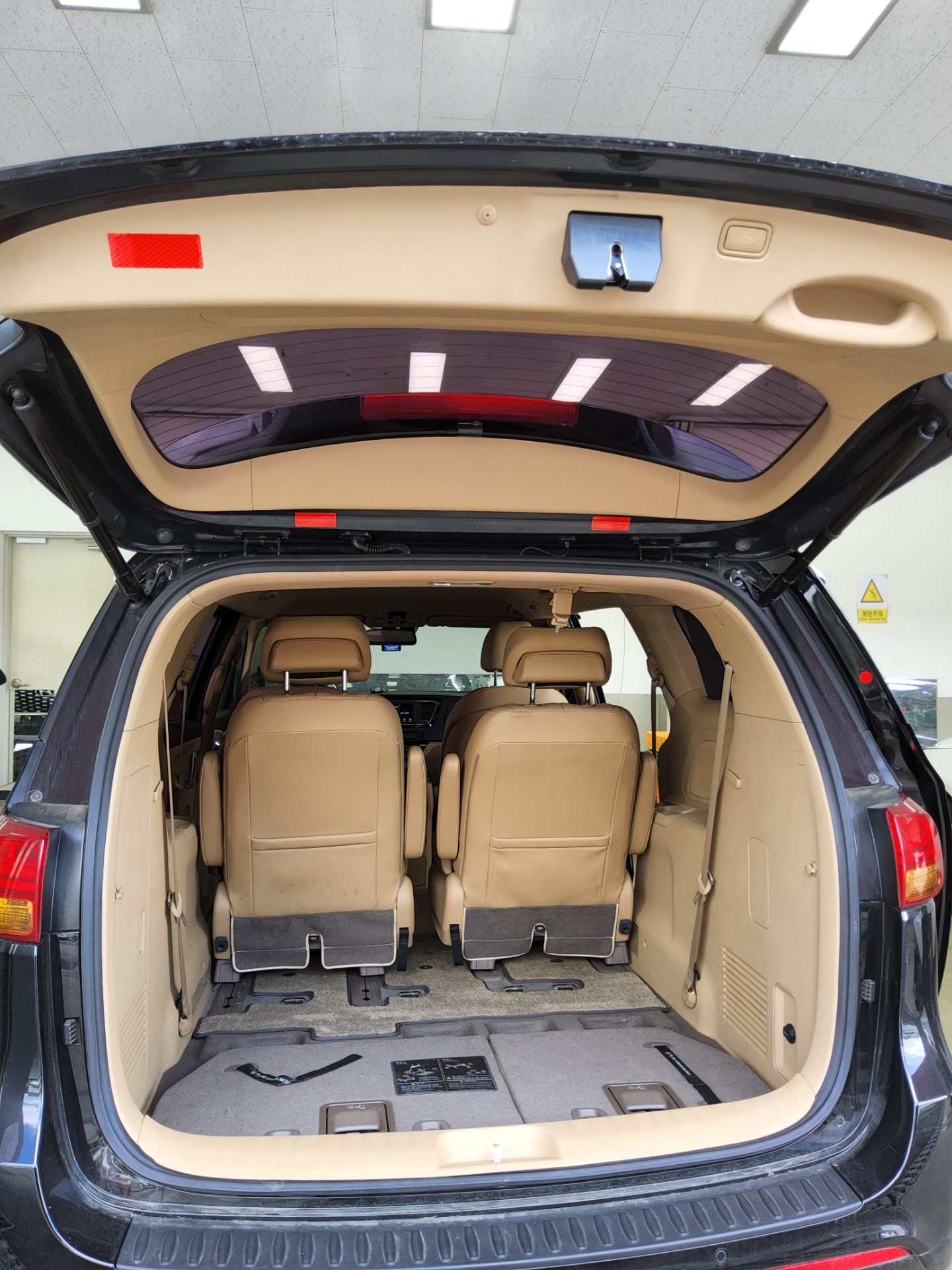 2017 - kia carnival