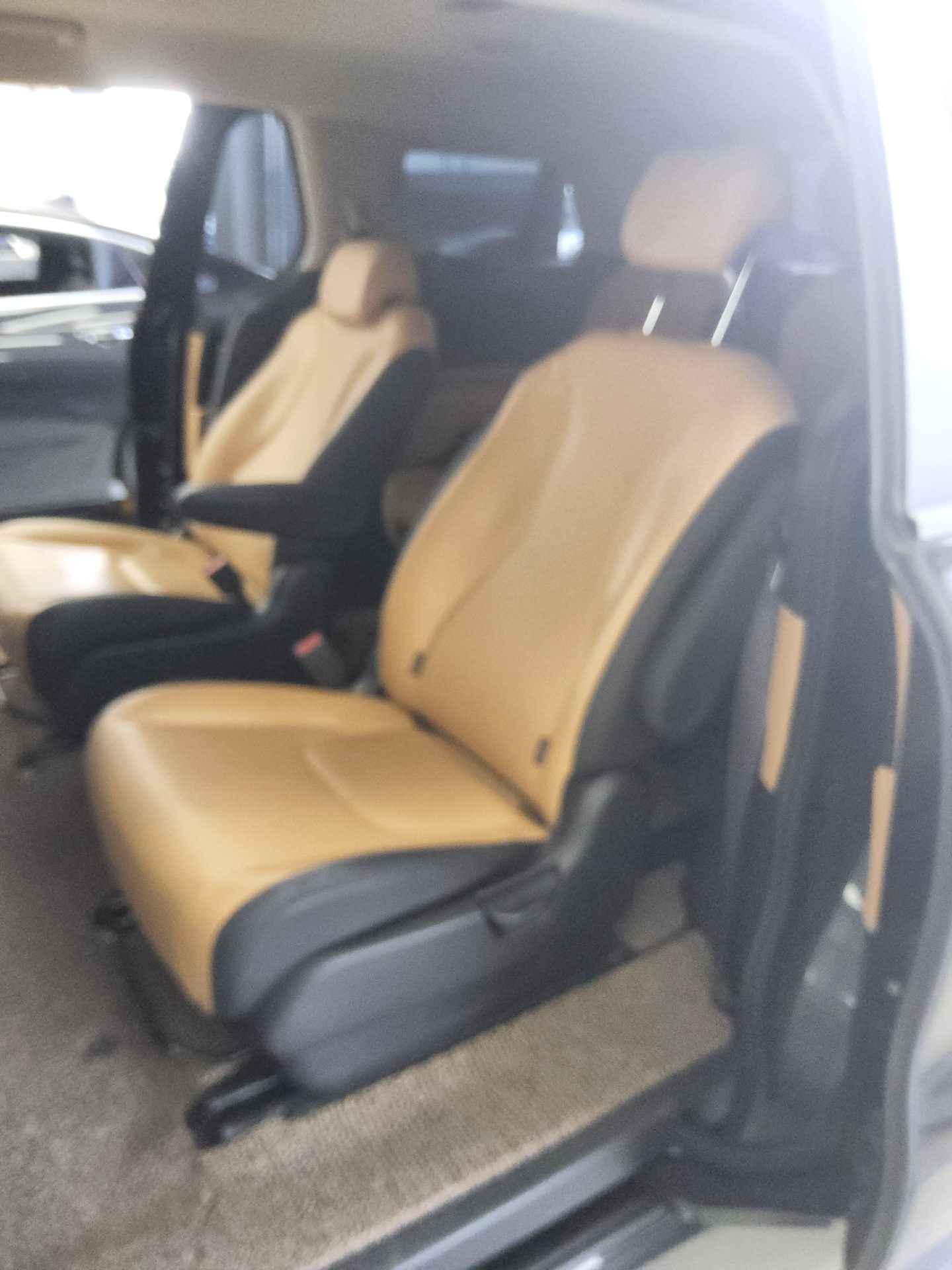 2023 - kia carnival