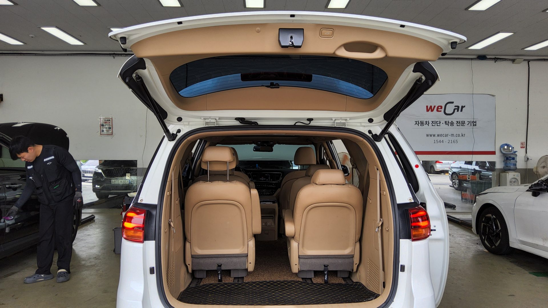 2019 - kia carnival