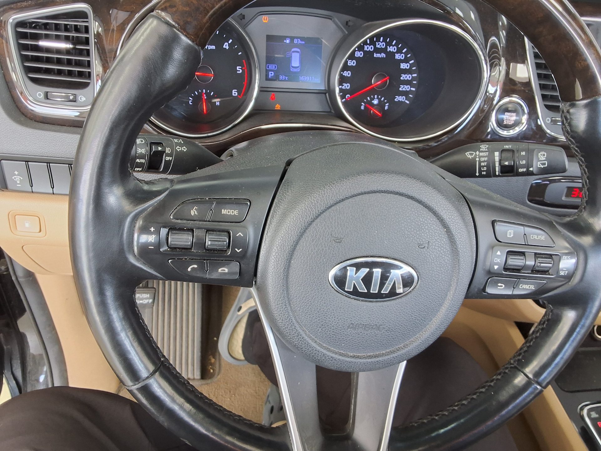 2019 - kia carnival