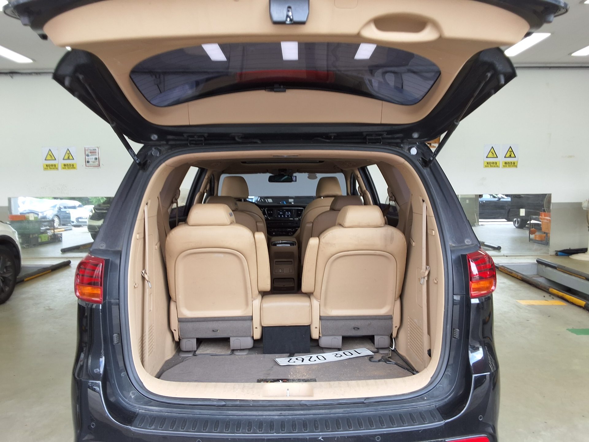 2019 - kia carnival