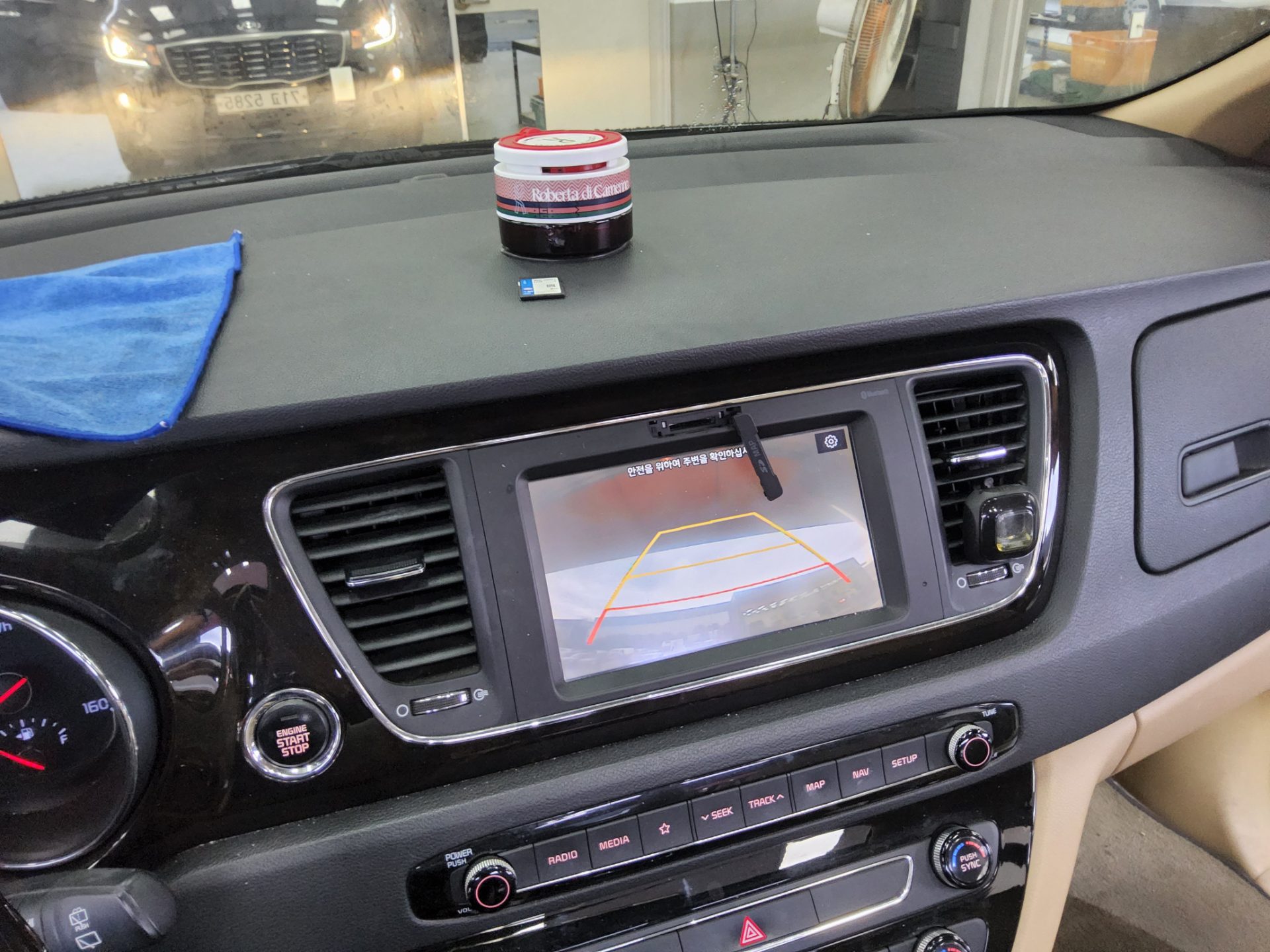 2019 - kia carnival