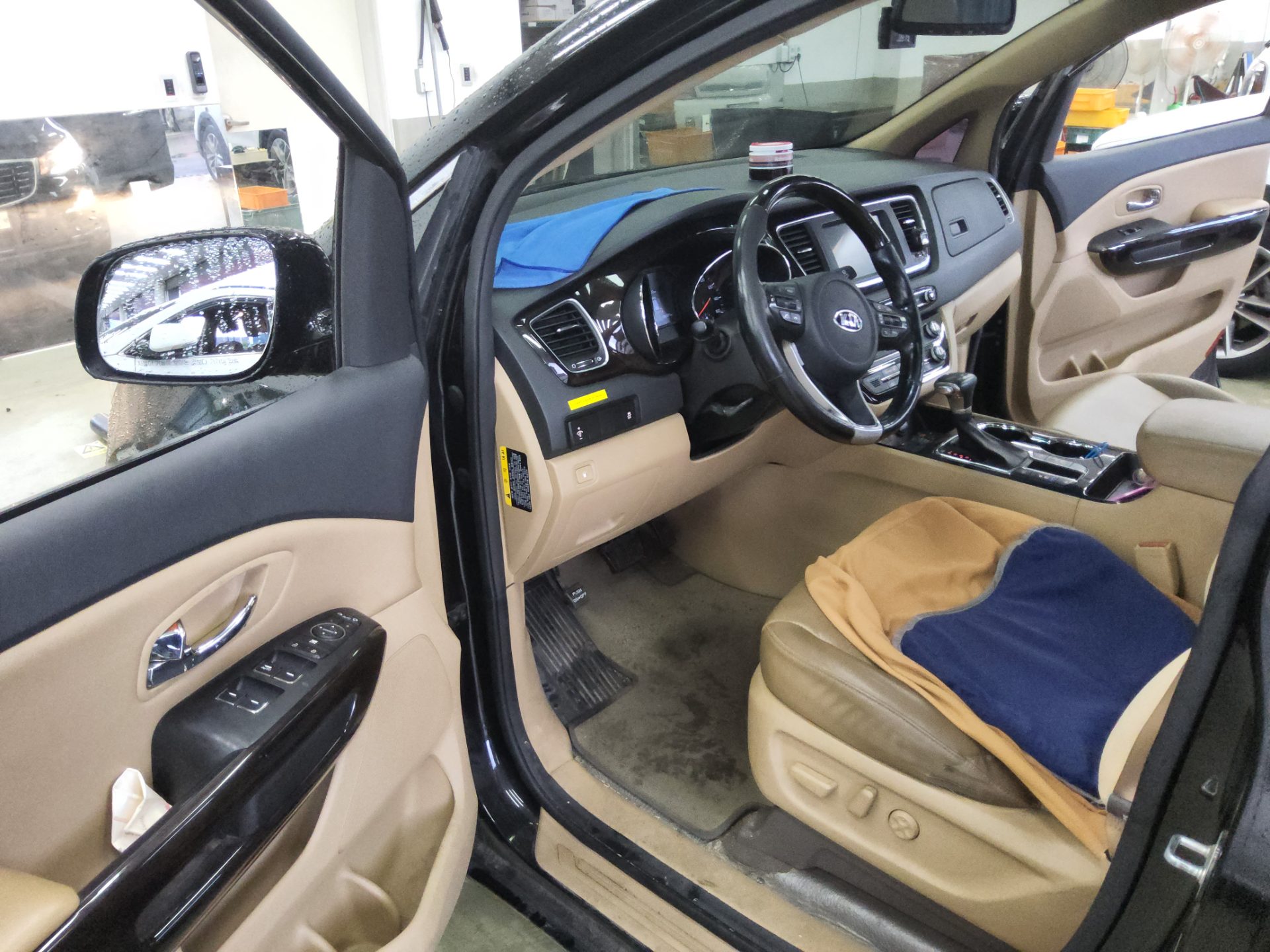 2019 - kia carnival