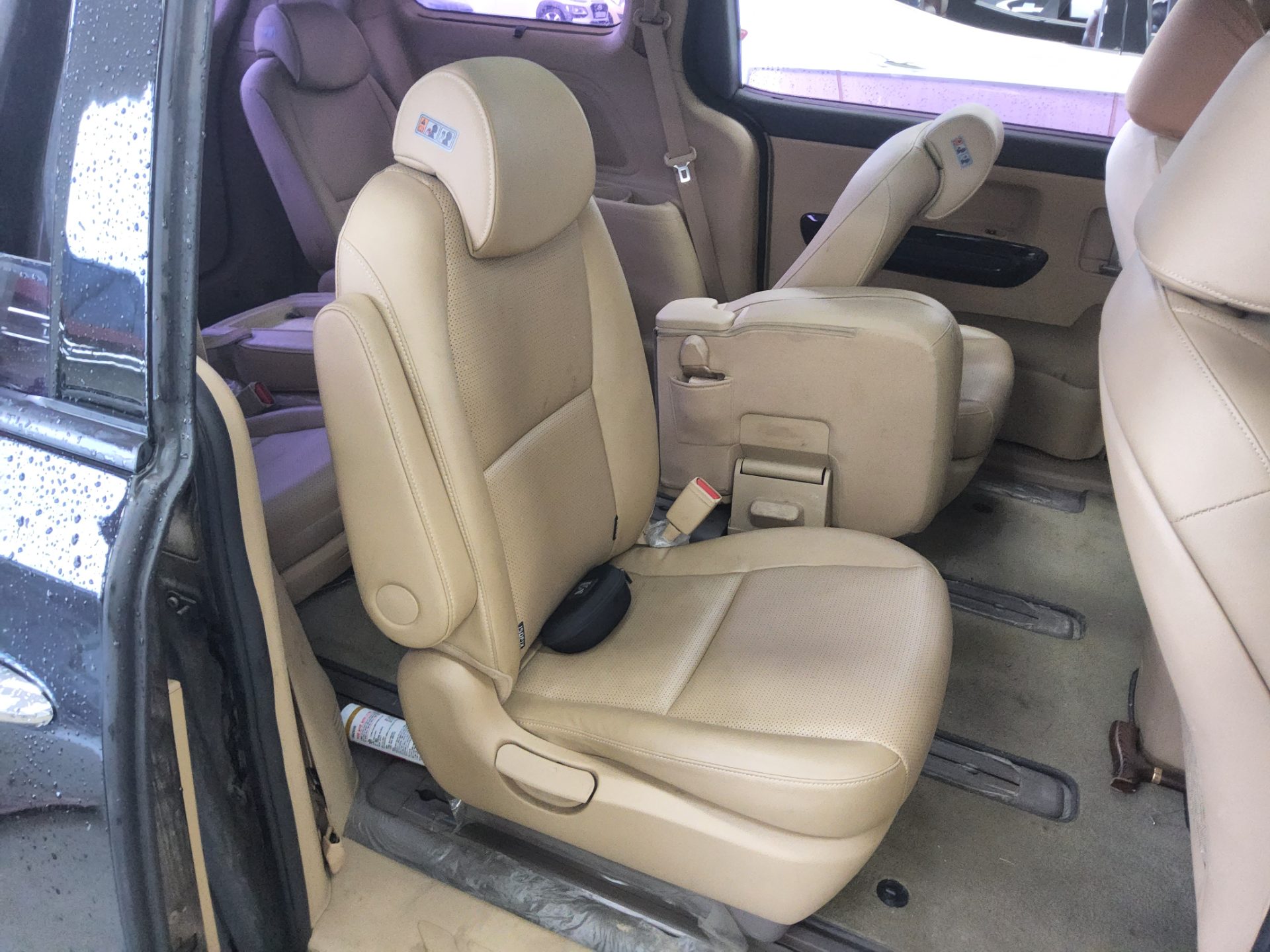2019 - kia carnival