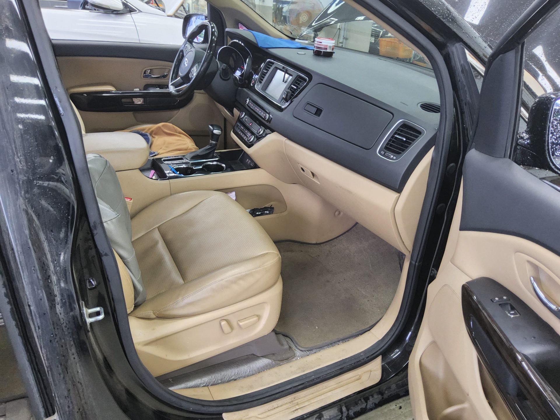 2019 - kia carnival
