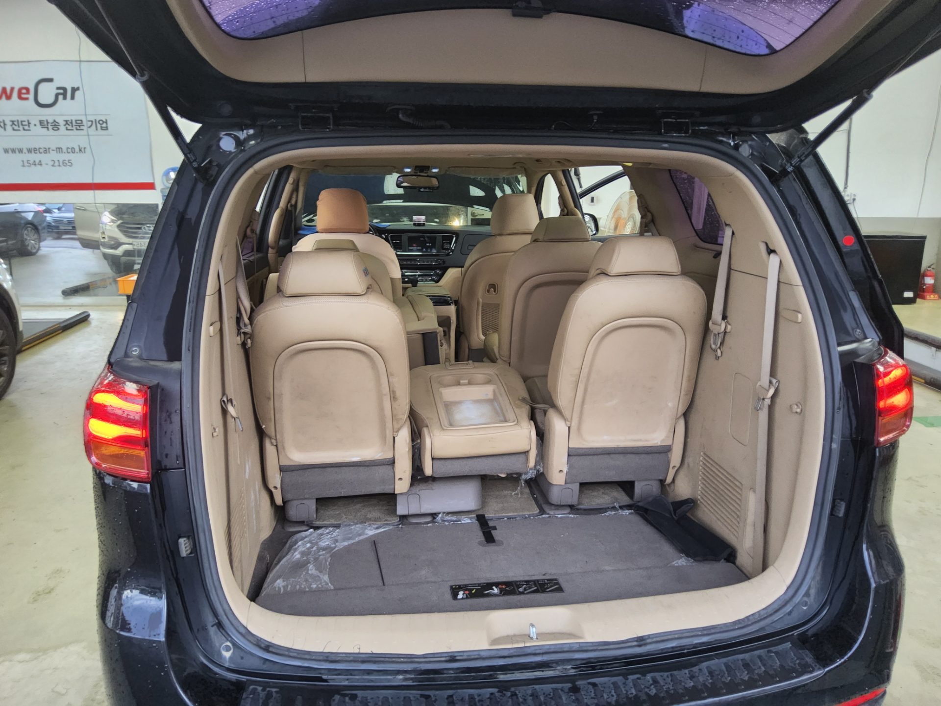 2019 - kia carnival