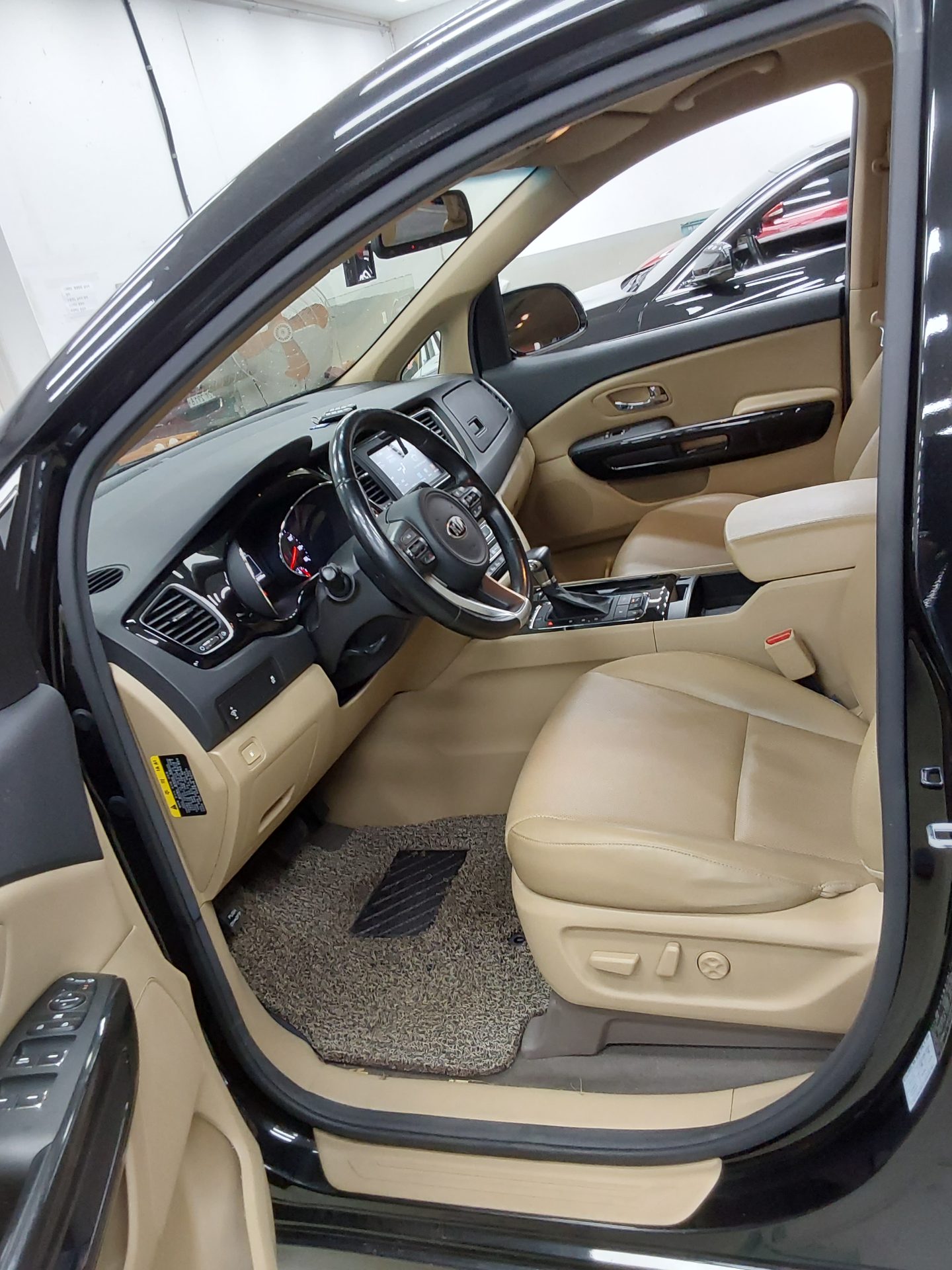2017 - kia carnival