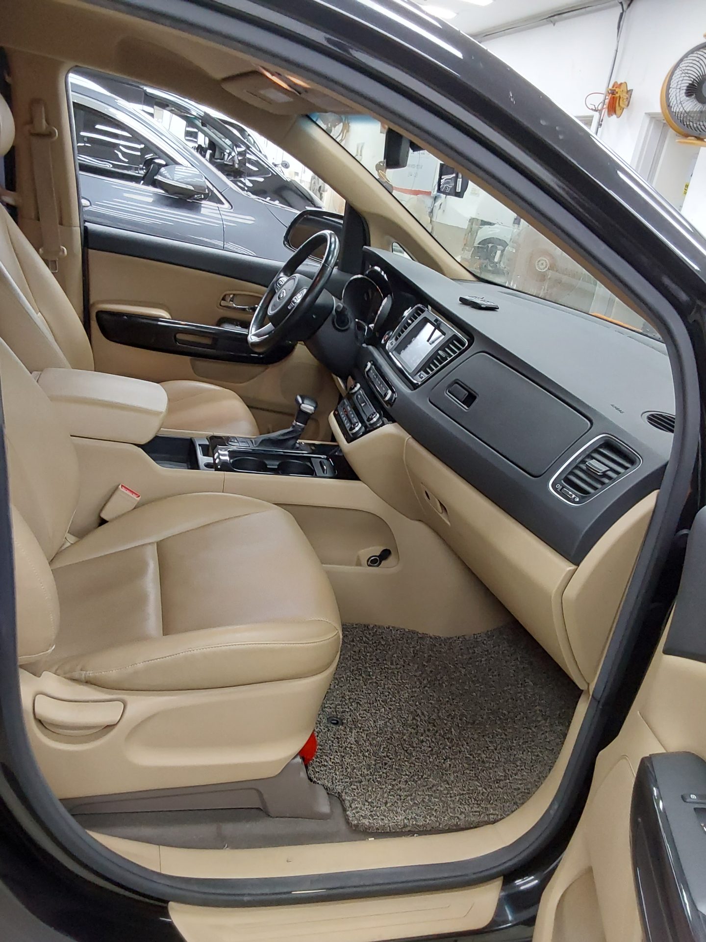 2017 - kia carnival