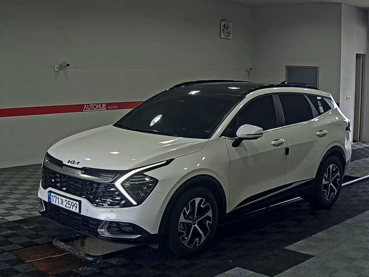 2023 - kia sportage