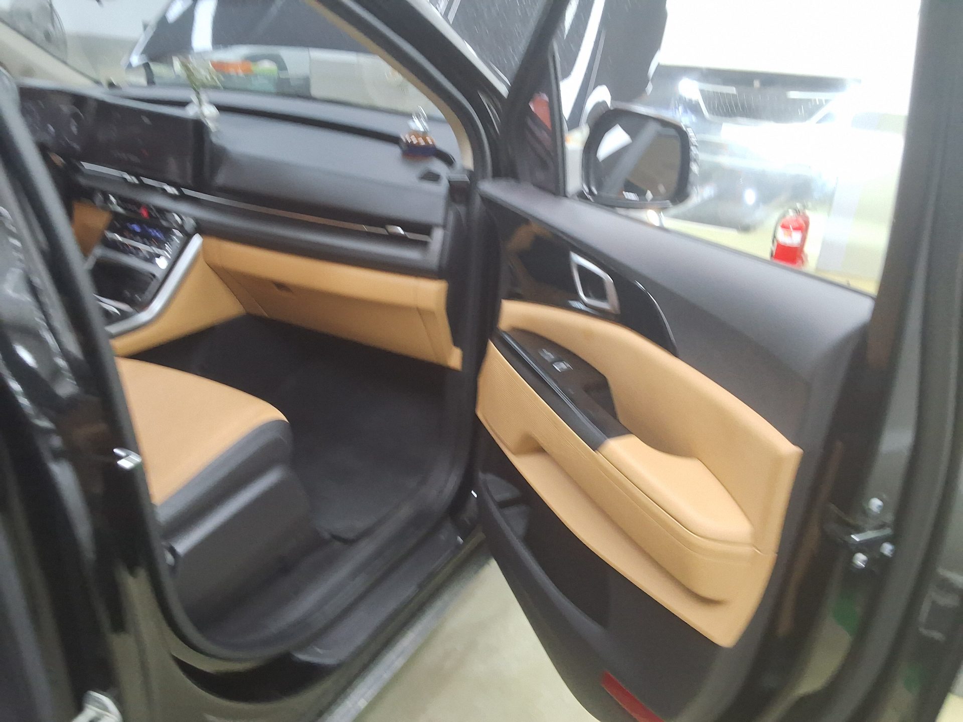 2021 - kia carnival