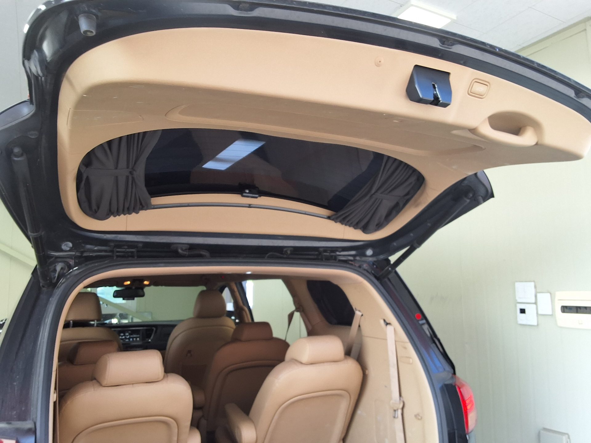 2018 - kia carnival