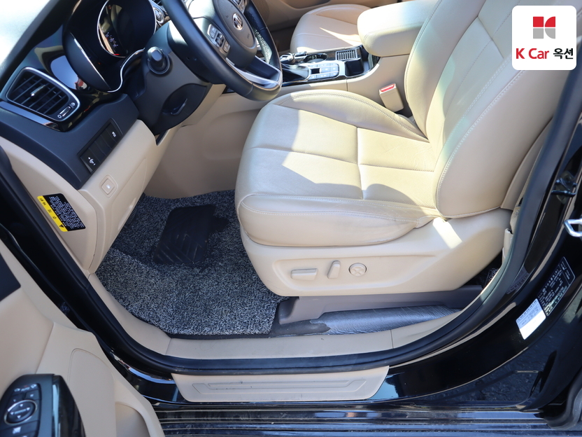 2019 - kia carnival