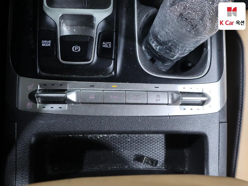 2021 - kia carnival
