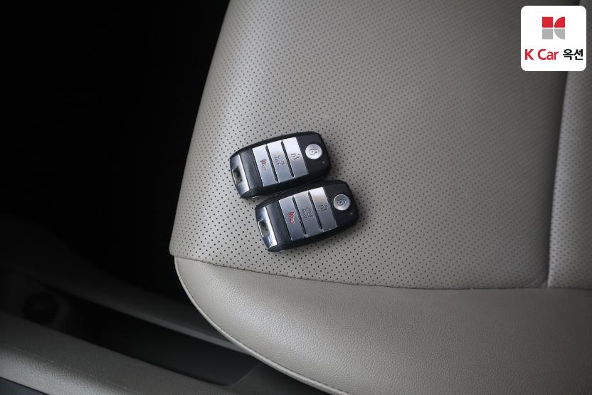 2016 - kia carnival