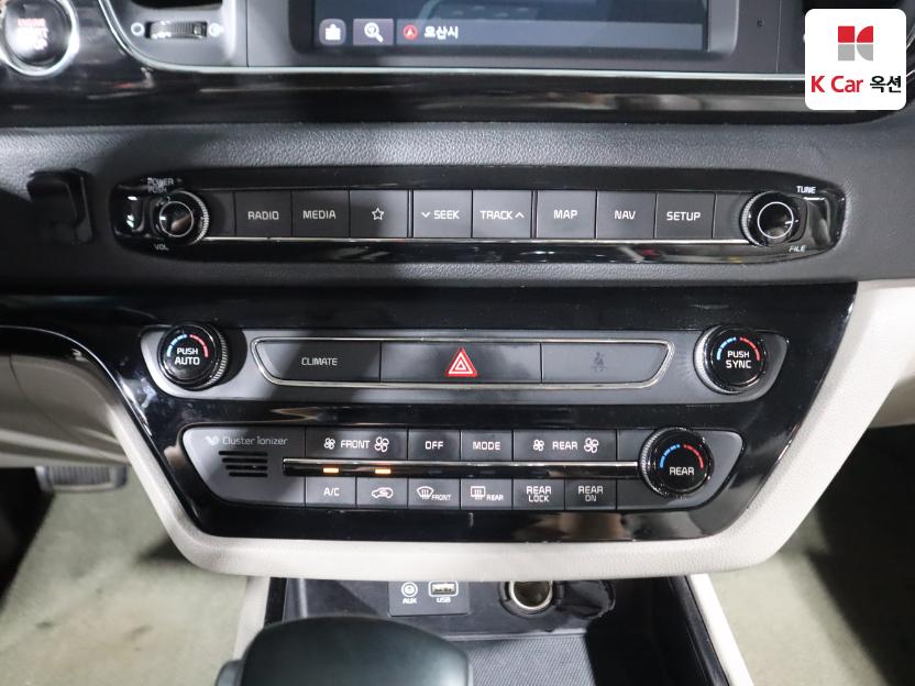 2019 - kia carnival