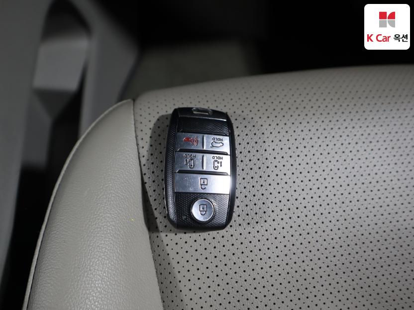 2019 - kia carnival