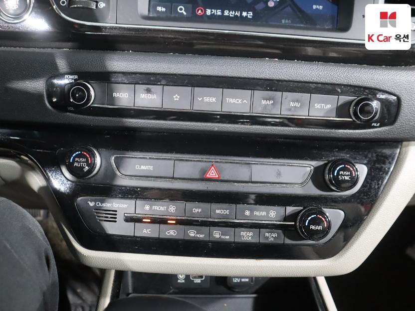 2019 - kia carnival