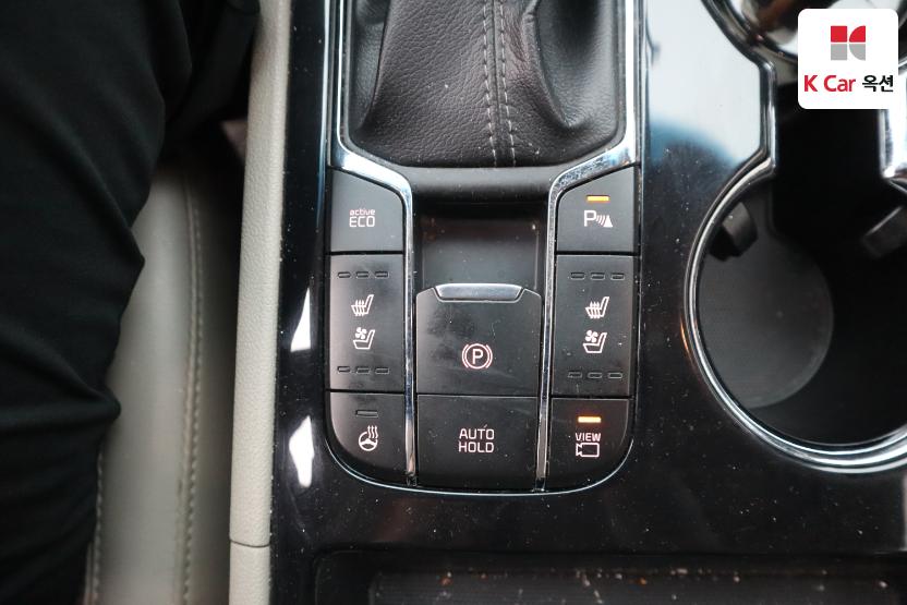 2019 - kia carnival