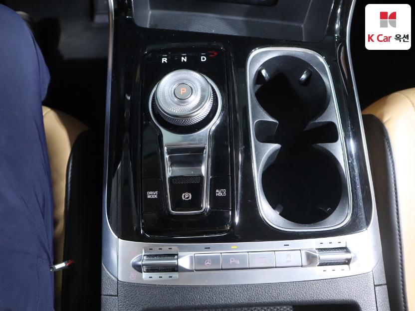 2021 - kia carnival