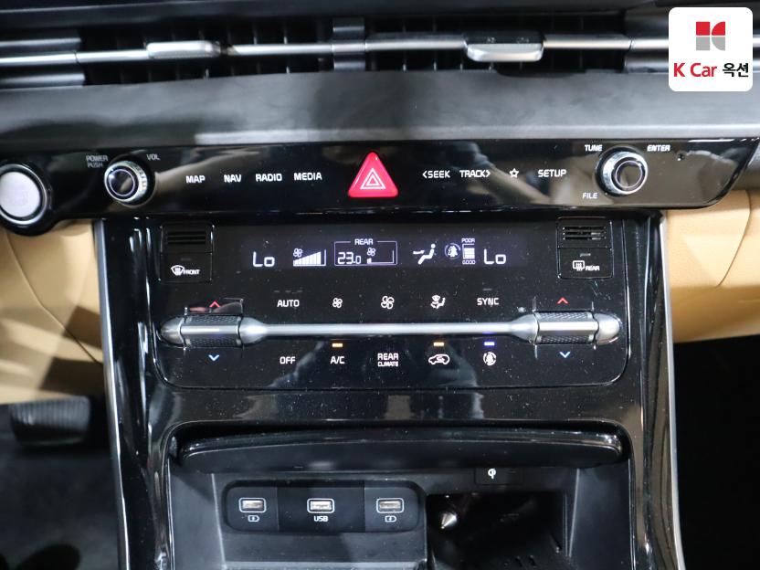 2021 - kia carnival