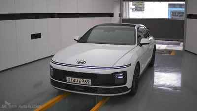 현대 디 올뉴그랜저 블랙 잉크